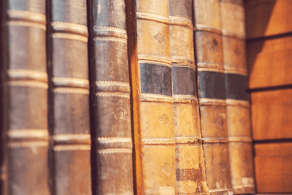 Image of a bookshelf and old books