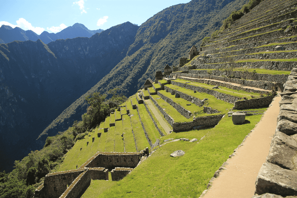 Image of grassy tiers at Machu Pichu