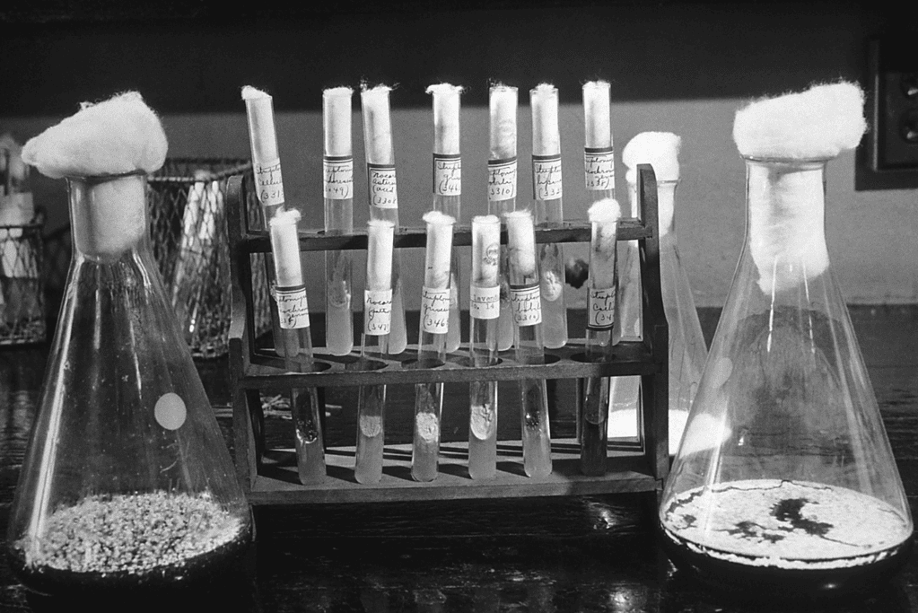 Image of lab equipment used for penicillin research.