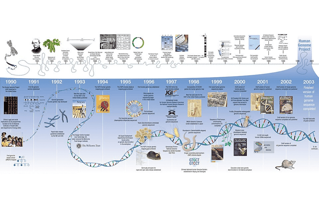 Image of the timeline for the Human Genome Project, key among historical medical breakthroughs