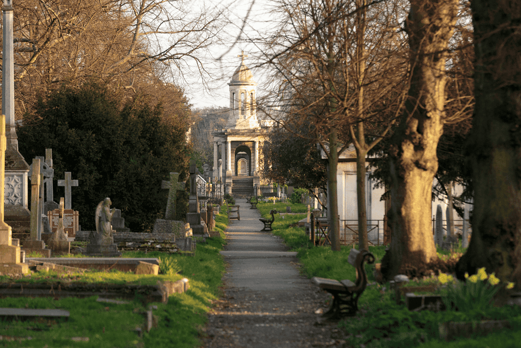Image of a walkway through London's Brompton Cemetery.