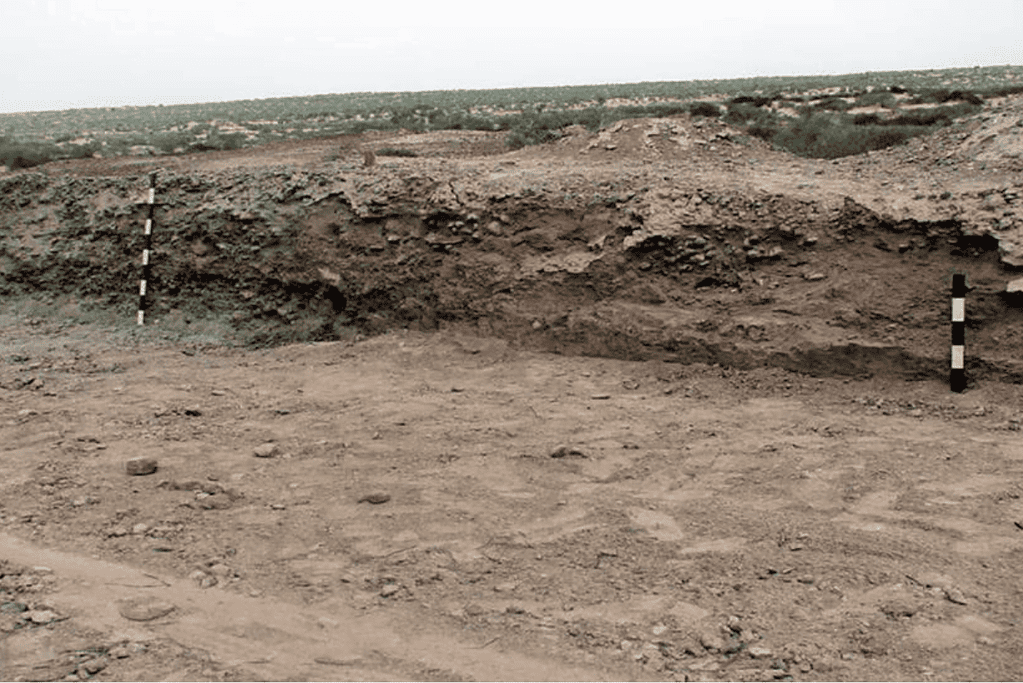 Image of an ongoing archaeological dig in Ganeriwala in Pakistan.
