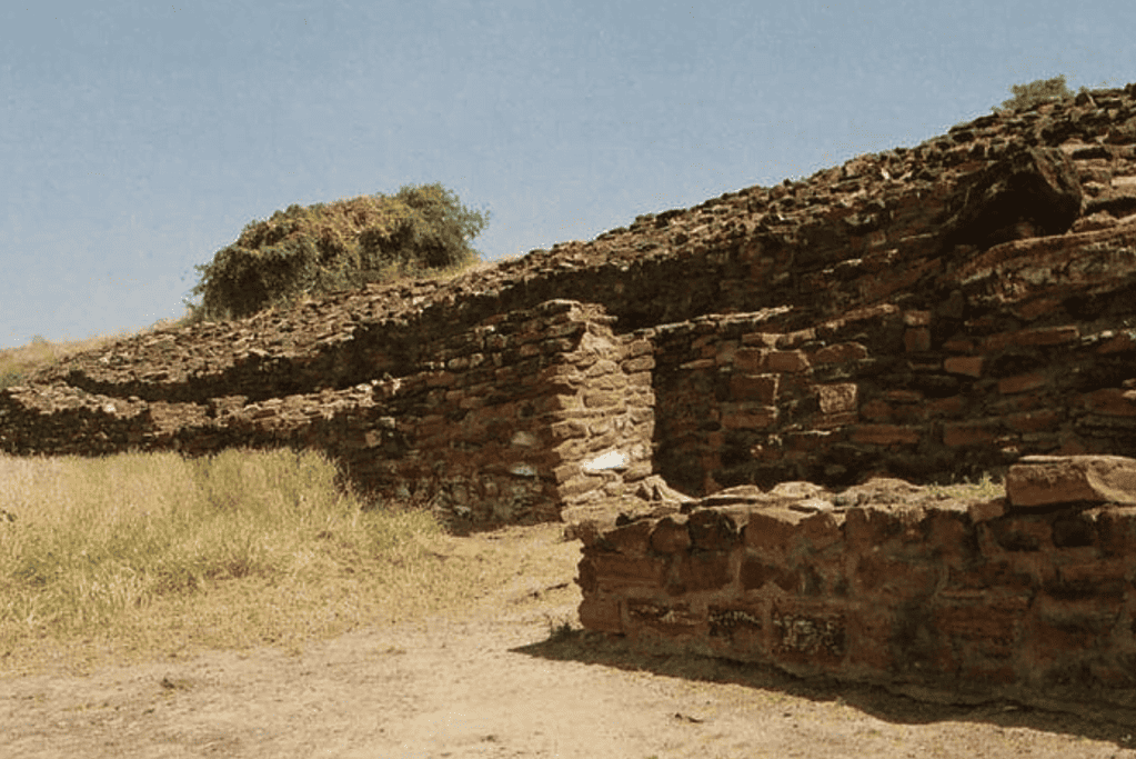 Image of ancient ruins in Surkodata, modern-day India.
