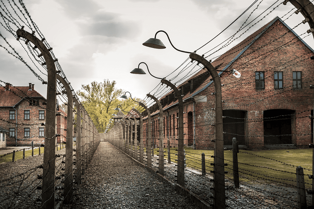Image of the fenceline of the the Auschwitz concentration camp for a blog post covering 10 intriguing facts about Father Maximillian Kolbe.