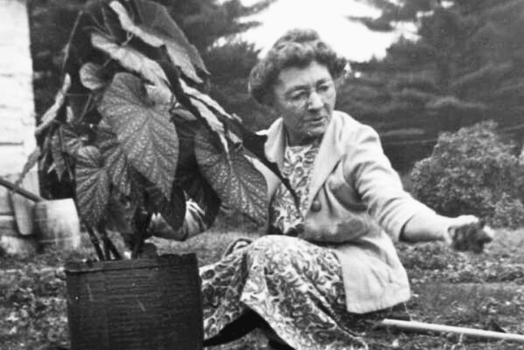 worlds-oldest-people-marie-louise-meilleur Image of French-Canadian supercentenarian Marie-Louise Meilleur.