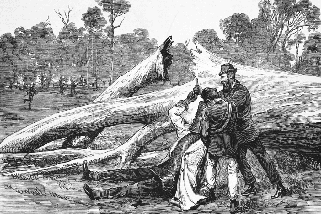 Image of Victoria, Australia law enforcement capturing Ned Kelly.